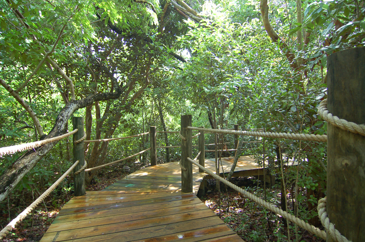 The Cottages at Lubbers' Landing